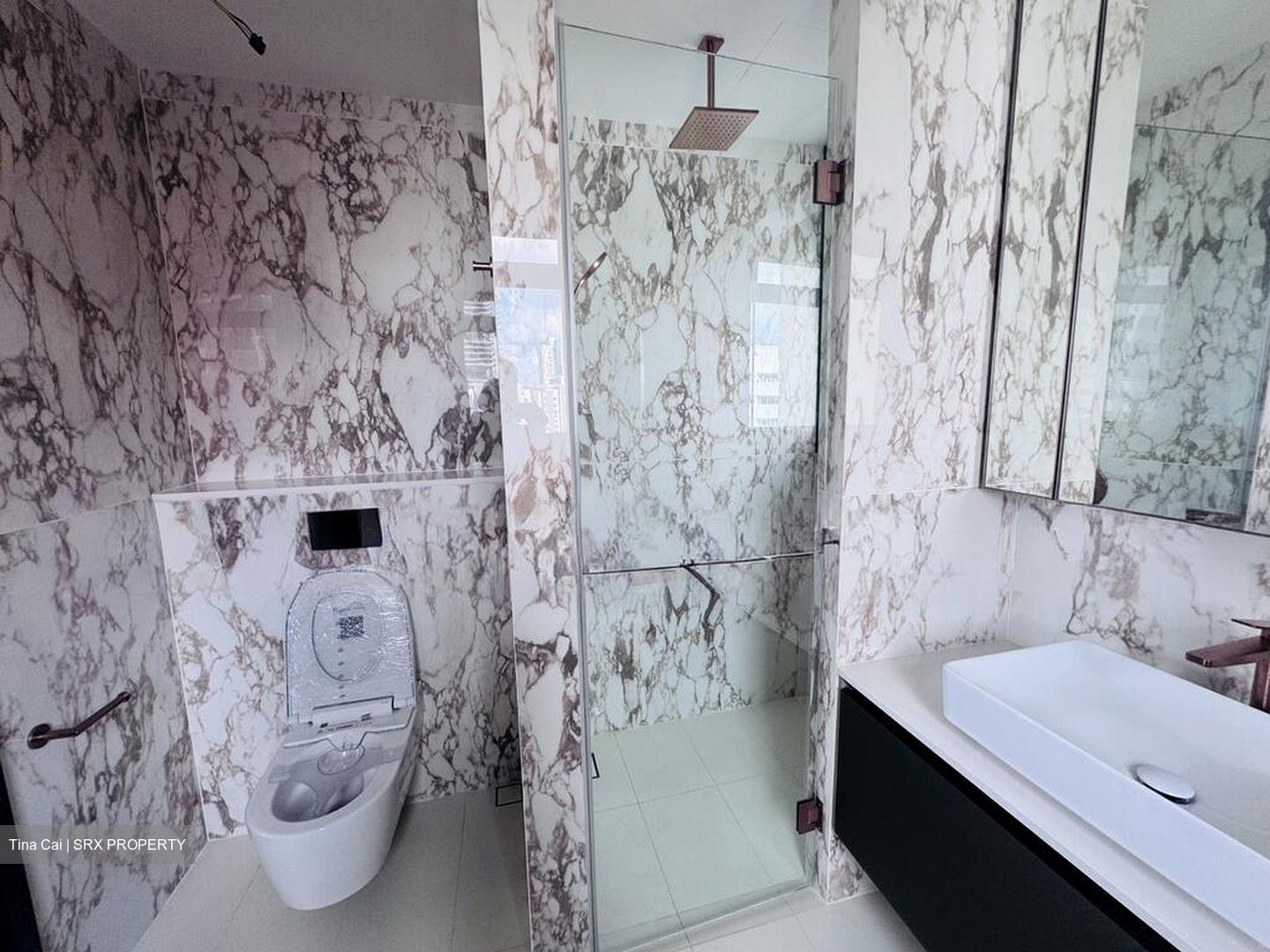 Irwell Hill Residences (D9), Apartment #498417751